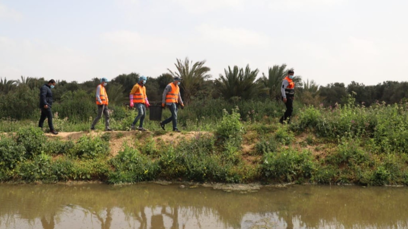 استمرار أعمال مكافحة البعوض