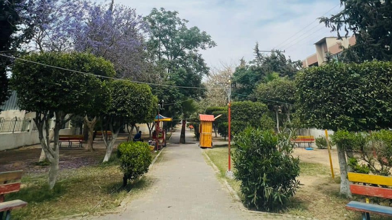 جمال منتزه بلدية البريج